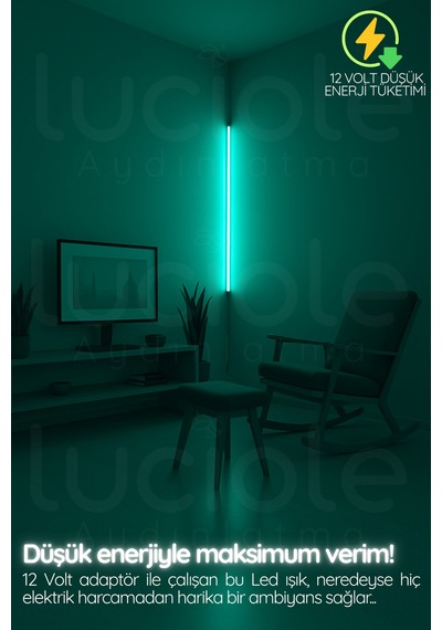 Led Abajur Aplik Gece Lambası Rgb Lambader 16 Renkli Uzaktan Kumandalı Işık 4 Animasyonlu Luciled1