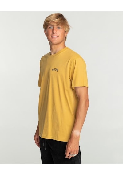 Billabong C1ss65bıp2 Arch Wave Erkek Tişört 001