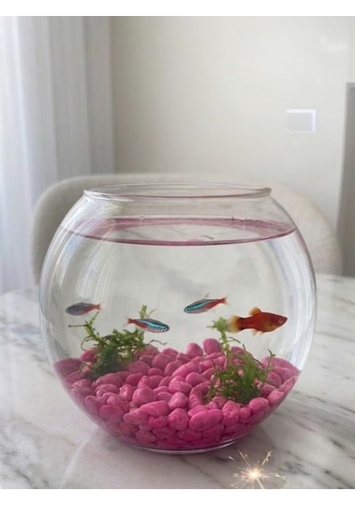 Mucit Home Kırmızı Pembe Karışık Fanus Taşı Akvaryum Balık Taşı