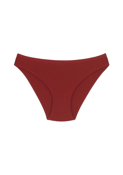 1001 Kadın 5'lı Günlük Slip Külot V18-Pudra-Somon-Kapiçino-Kiremit-Bordo Çok Renkli