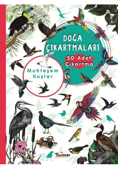Muhteşem Kuşlar - Doğa Çıkartmaları - Kyut-826995