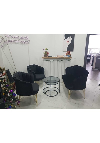 Garden House Siyah Kumaş Metal Gold Ayaklı Papatya Çay Seti Koltuk Takımı Bekleme- Ofis Koltuk Takımı Siyah Garden House Siyah Kumaş Metal Gold Ayaklı Papatya Çay Seti Koltuk Takımı Bekleme- Ofis Koltuk Takımı Siyah
