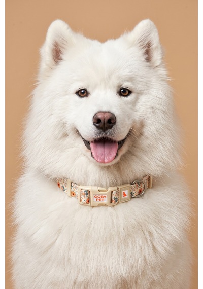 Köpekler İçin Dayanıklı Ve Güvenli, Desenli Boyun Tasması 25mm Krem