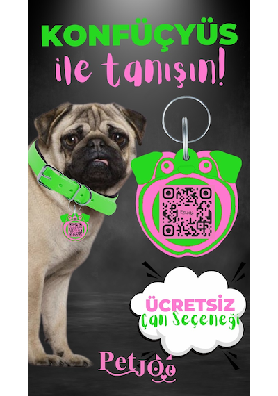 Petjoo 9.Konfüçyüs Pembe-Yeşil Qr'lı Köpek Künyesi