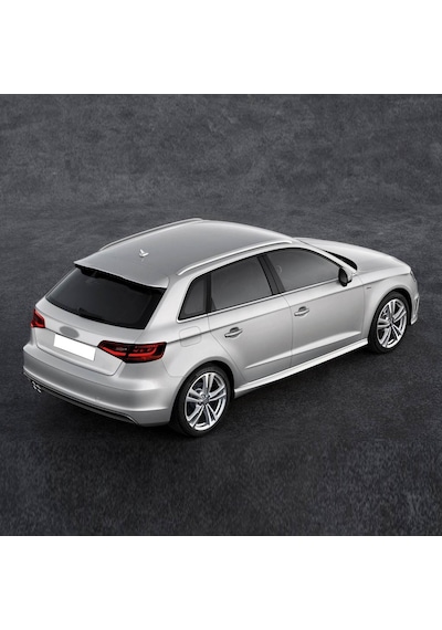 Audi A3 Sportback 2013-16 Arka Bagaj Amortisörü Pistonu 8v4827552