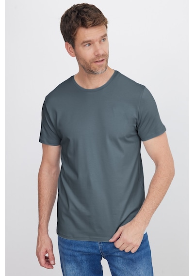 Tudors Erkek Slim Fit Dar Kesim Pamuklu Yumuşak Doku Esnek Kumaş Basic Gri Bisiklet Yaka Tişört-52097