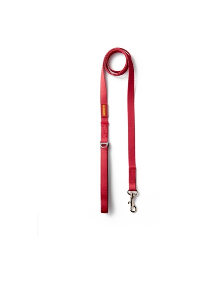 Galatasaray Pet Gezdirme Kayışı U251607