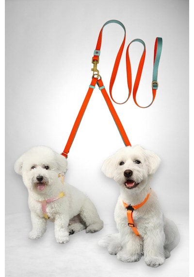 Caramelos İkili Çift Köpek Gezdirme Tasması Ve Sevk Kayışı Set Ayarlanabilir Turuncu