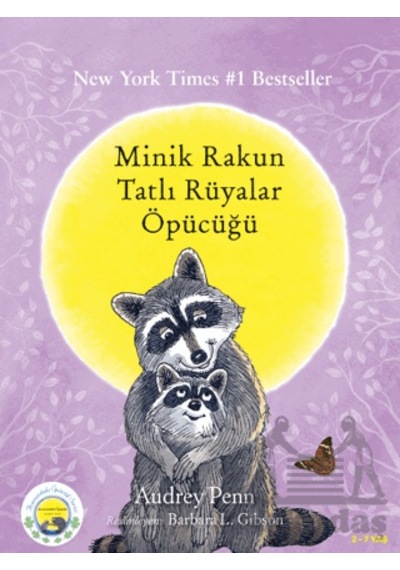 Minik Rakun Tatlı Rüyalar Öpücüğü Butik Yayınları