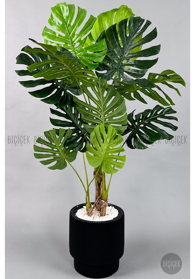 Biçiçek Yapay Monstera Ağacı Deve Tabani 160 Cm Si̇yah Vega Saksıda