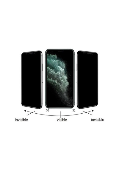 Go-Des Apple Uyumlu iPhone 12 Go Des Hayalet Gizli Ekran Koruyucu ZORE-216944 Siyah
