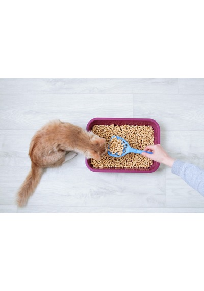 Kedi Kumu %100 Organik Çam Peleti Net 10 Kg