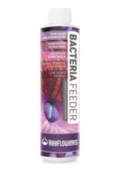 Reeflowers Bacteria Feeder 500 ML