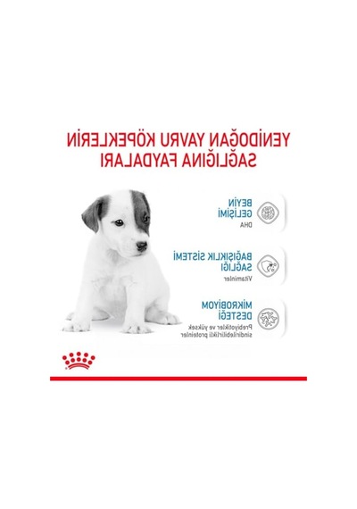 Bebek Köpek Sütü, 400 Gr, Büyüme Desteği 100 G