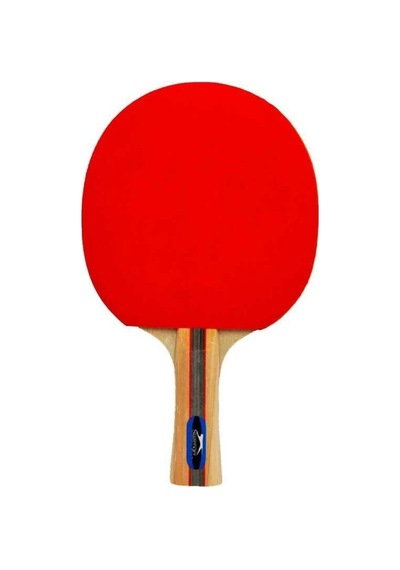 Champion Ittf Onaylı Masa Tenisi Raketi