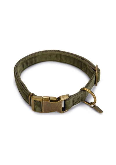 Beeztees Dbl Köpek Tasması, Kadife, Nefti, 48-70cm, 25mm Çok Renkli