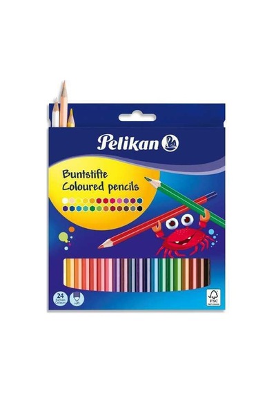 Kuru Boya Kalemi 24lü Kutu Çok Renkli