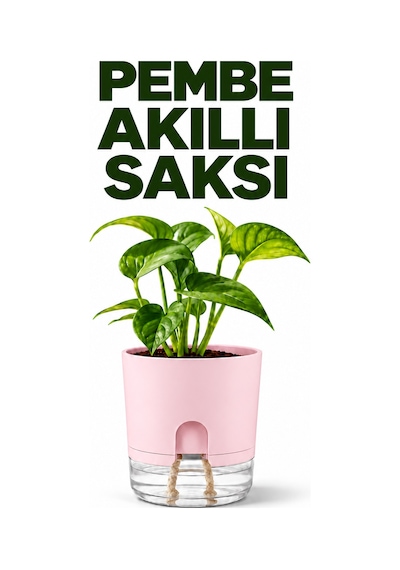 Akıllı Saksı Kendinden Sulamalı Fitilli Modern Dekoratif Saksı 2 Litre 70160191
