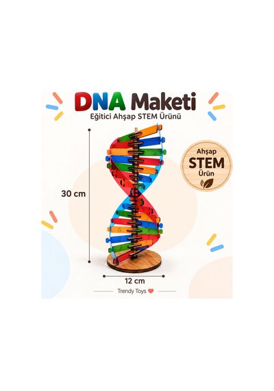Modeli Eğitici Ahşap Seti 30cm