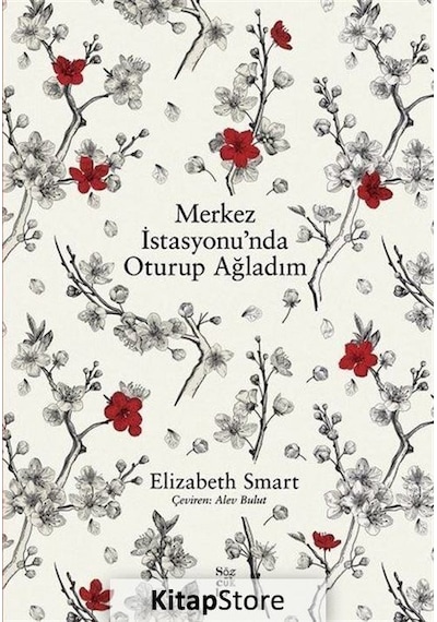 Merkez İstasyonunda Oturup Ağladım - Elizabeth Smart - Sözcükler