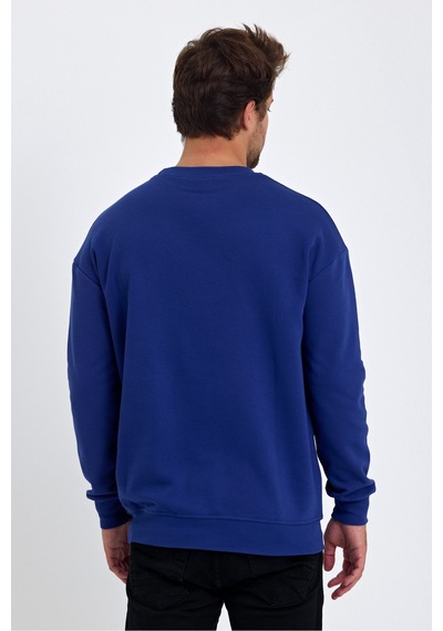 Tarz Cool Erkek Yumuşacık Kumaşlı Regular Fit Yuvarlak Yakalı Sweatshirt Saks Mavi