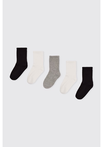 Panço Unisex Bebek 5'li Çorap Seti 2602ub11001 renkli