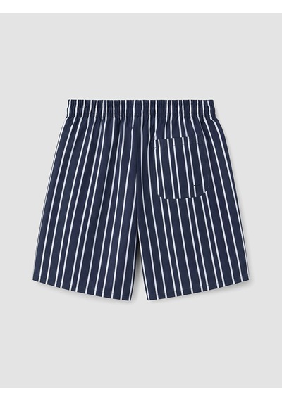 Lcw Swımwear Lacivert Kısa Boy Çizgili Erkek Deniz Şortu