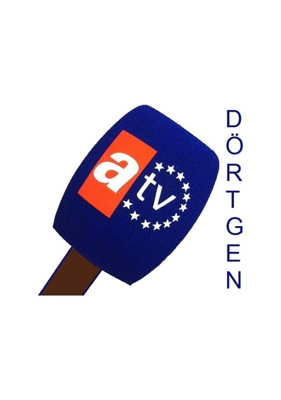 Mikrofon Süngerine Logo Baskı