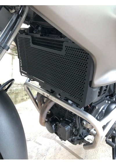 Bmw F 700 Gs Radyatör Koruma