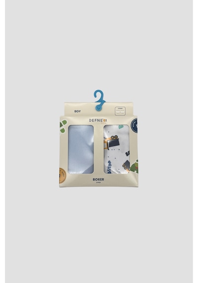 Defne Baby Erkek Çocuk Deseli Premium Pamuklu 2'li Boxer Seti Çok Renkli
