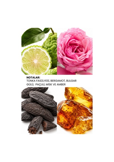 Ixora K352 Stiletto Kadın Parfüm EDP 100 ML