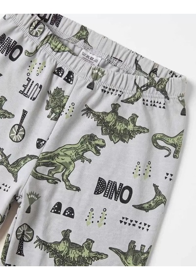 Veraura Lifestyle 4/10 Yaş Dino Baskılı Pamuk Penye Çocuk Pijama Takımı Gri