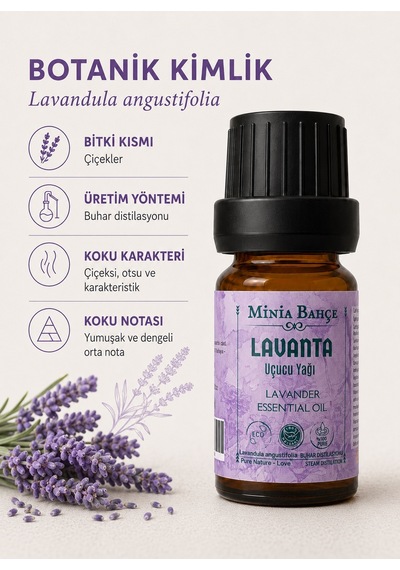 Minia Bahçe Bitki Ve Sanat Atölyesi Saf ve Katkısız Bitkisel Uçucu Lavanta Yağı 10 ML