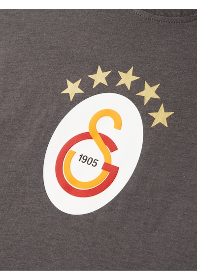 Gsstore Galatasaray 5 Yıldız T-shirt E251402 Antrasit