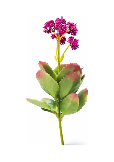 Yapay Adenium Obesum Dekoratif Saksılı Yapay Çiçek Salon Ofis Masaüstü Bitkisi Nocolor-004ac8c4 Nocolor-004ac8c4 Yapay Adenium Obesum Dekoratif Saksılı Yapay Çiçek Salon Ofis Masaüstü Bitkisi Nocolor-004ac8c4 Nocolor-004ac8c4