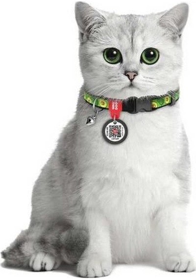 Waudog Collar Qr Pasaportlu Kedi Ve Ufak Irk Köpek Boyun Tasması 20-30 Cm, 10 Mm, L, Avocado