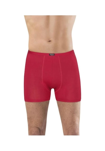 Anıt Erkek Ince Belli Bambu Likralı Boxer 1273 - 6 Adet 001