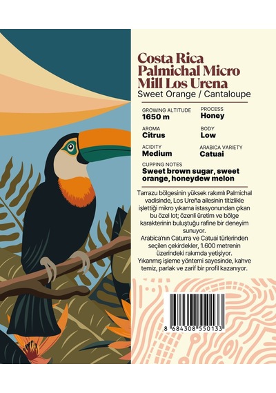 Costa Rica Palmichal Micro Mill Los Urena Yöresel Filtre Kahve 250 Gr. Çekirdek Kahve
