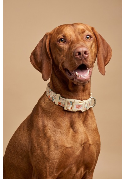 Köpekler İçin Dayanıklı Ve Güvenli, Desenli Boyun Tasması 25mm Krem