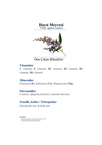 Hayıt Meyvesi Bitkisel Sıvı Ekstraktı 250 Ml - Takviye Edici Gıda