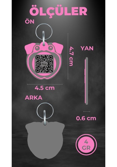 Petjoo 9.Konfüçyüs Gri-Pembe Qr'lı Köpek Künyesi