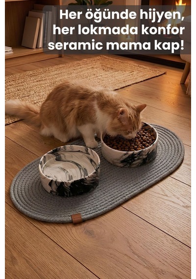 2'li Seramik Paspaslı Mama Kabı Siyah-kaymaz Tabanlı Kedi Köpek Mama Ve Su Kabı