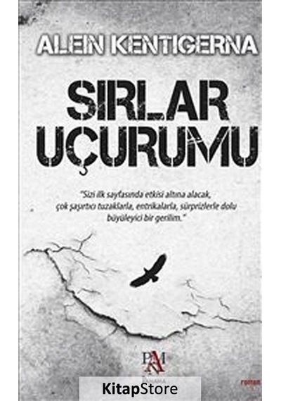 Kitapstore Sırlar Uçurumu / Alein Kentigerna