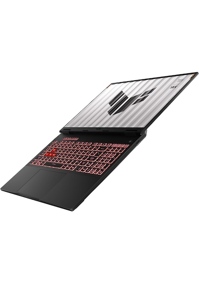 Asus Tuf Gaming A16-FA608UM-RV016 R7 260 16 GB 512 GB RTX5060 16" FHD Free Dos Dizüstü Bilgisayar