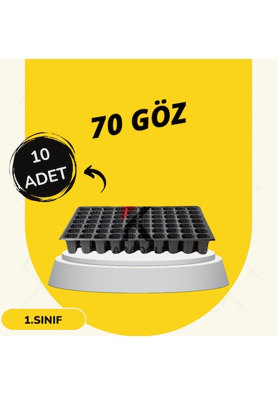 Fide Viyol 10 Adet 70 Göz Fide Viyolü Fide Altlığı Tohum