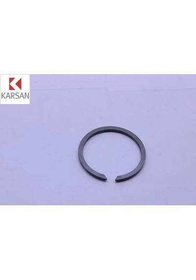 Segman Jest Karsan 2210010aa