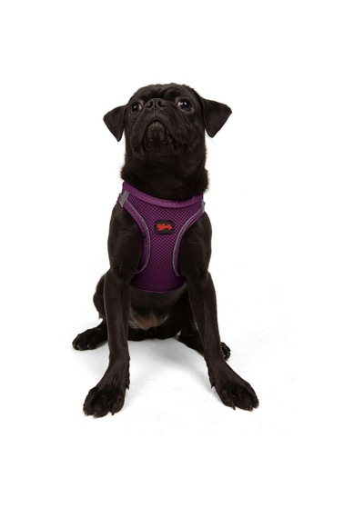 Tailpetz Air-mesh Göğüs Tasması 3xs Mor, M Sku: Zeusb07px4dwdx Açık Bej - Bej