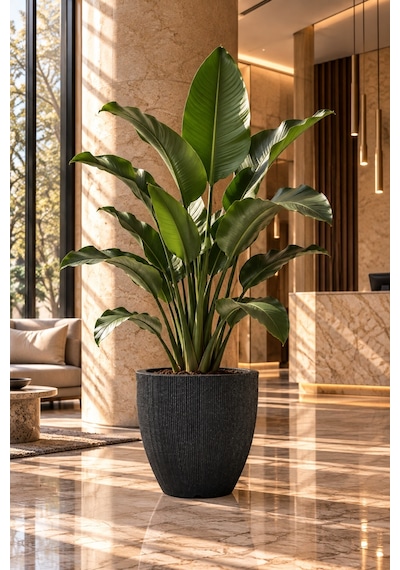 Bostann Dekoratif Saksı - Botonıa 030 - 50l - Antrasit 50 Lt