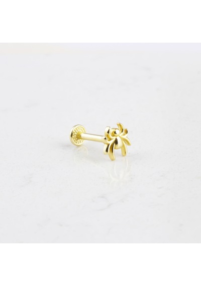 Glorria Altın Örümcek Tragus Piercing Altın