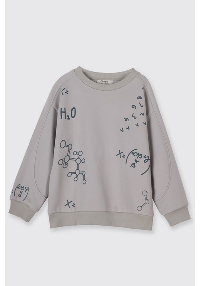 Panço Erkek Çocuk Baskılı Taş Sweatshirt Gri
